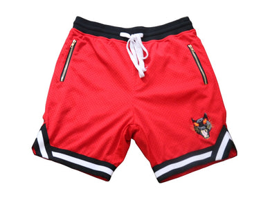 Luxury Basketball Shorts